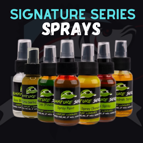 Signature Spray 50ml