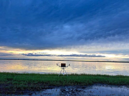 🎣 Fishing at Heartsease, Vaaldam: A Complete Angler’s Guide