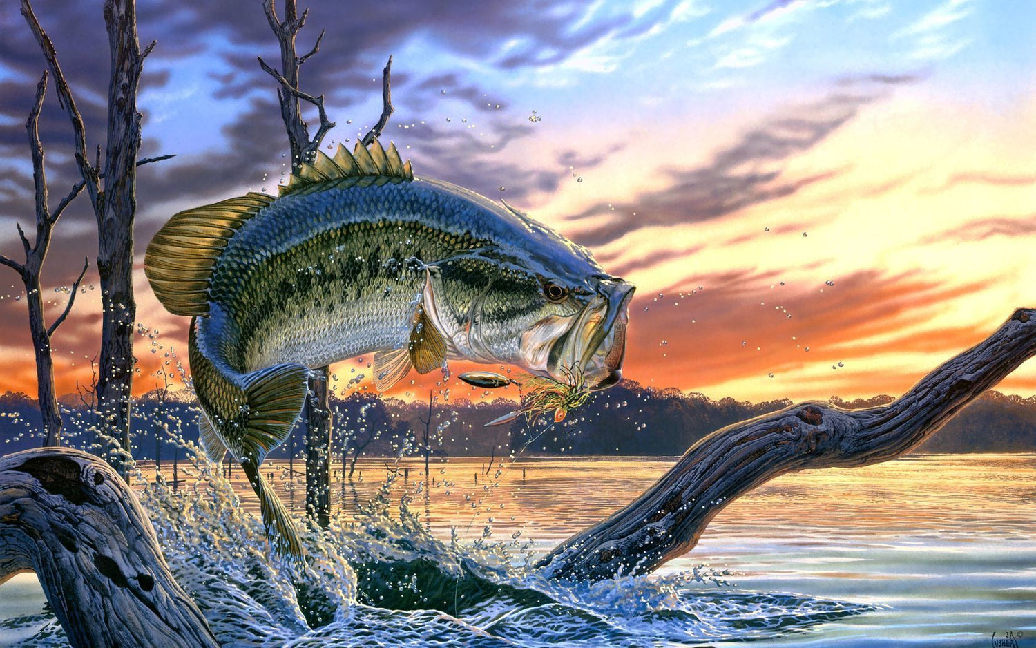 Bass Fishing