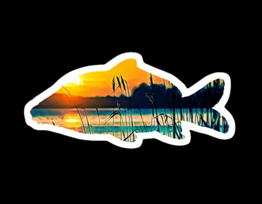 Good Vibe Carp