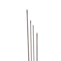 Worm Needle