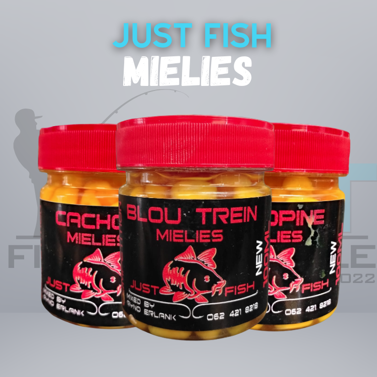 Just Fish Mielies