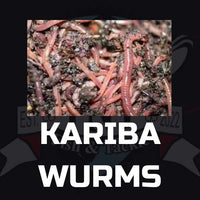 Kariba Wurms