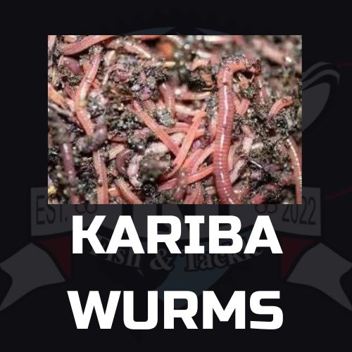 Kariba Wurms
