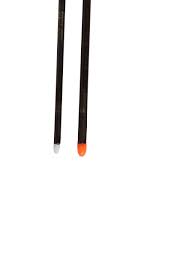 Worm Needle
