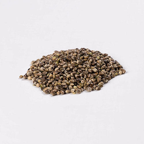 Hemp Seed 1kg