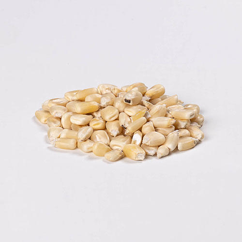 Maize Whole 1kg