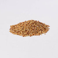 Mixed Bird Seed 1kg