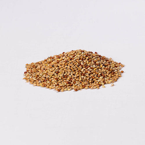 Mixed Bird Seed 1kg