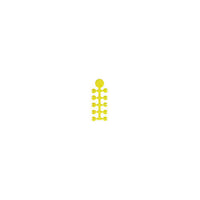 Floss Cap 10pc 4x3.5mm